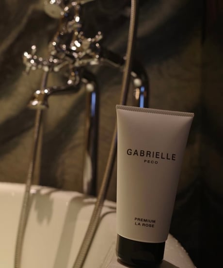新品ガブリエル ペコ（GABRIELLE PECO) タンクトップ gabriellepeco Gabrielle Peco Lingerie Tote 大変お待たせしました