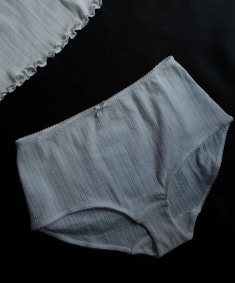 Chantelle Pulp Cotton Highwaist Panty