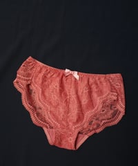 Peco Bra Brief New in Vintage Rose