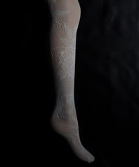 Trasparenze CERVIA Tights in Seta (Ivory)