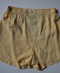HAZE Silk Shorts in Mimosa