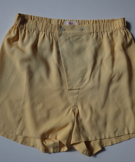 HAZE Silk Shorts in Mimosa
