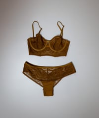 Scandale Leaf Lace Panty