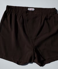 HAZE Silk Shorts in Cacao