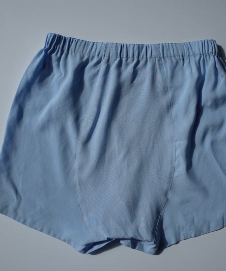 HAZE Silk Shorts in Classic Blue
