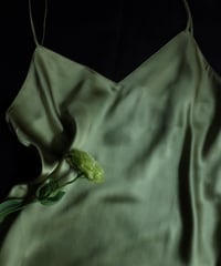 Luna di Seta Silk Slip Dress in Light green