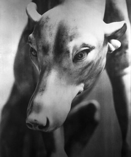 「ルーブルの犬」Vol.2