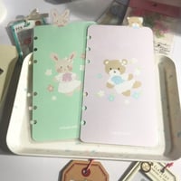 ひょっこり飛び出すディバイダー４