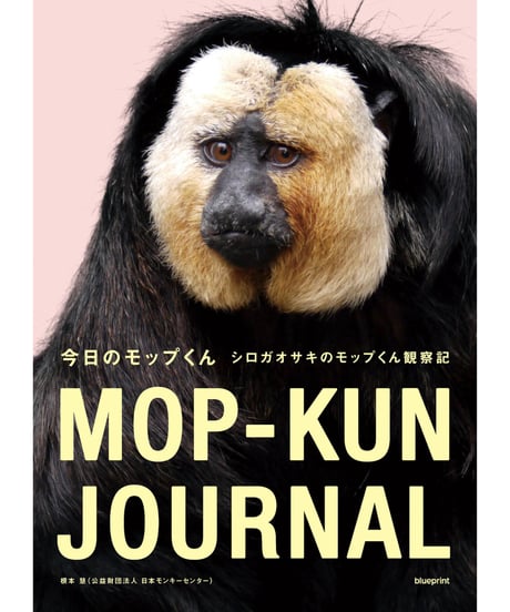 今日のモップくん　シロガオサキのモップくん観察記【blueprint限定ステッカー&ポストカード付き】