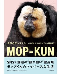 今日のモップくん　シロガオサキのモップくん観察記【blueprint限定ステッカー&ポストカード付き】