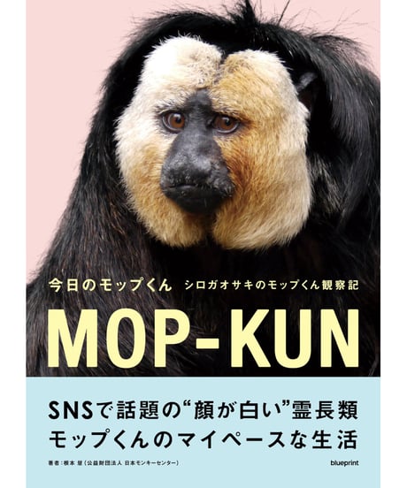今日のモップくん　シロガオサキのモップくん観察記【blueprint限定ステッカー&ポストカード付き】