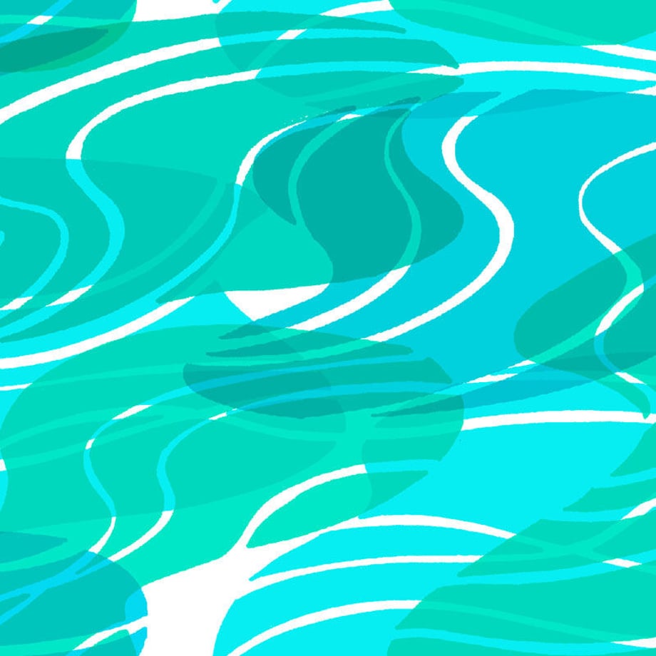620479e8bc44dc3a4b3edd82