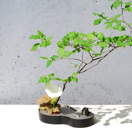 CATEGORY 【銀雅堂】 | 高岡伝渡 -online shop-