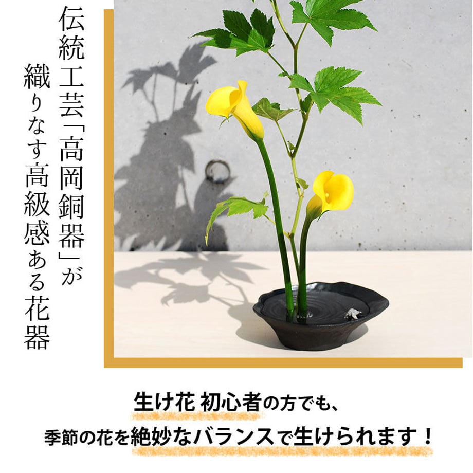 6212e9b90020fc170d5031a5