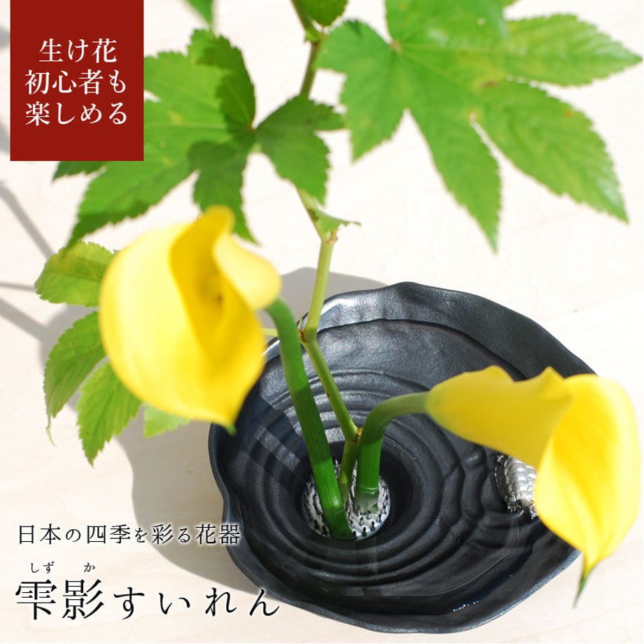 6212e9b90020fc170d5031a5