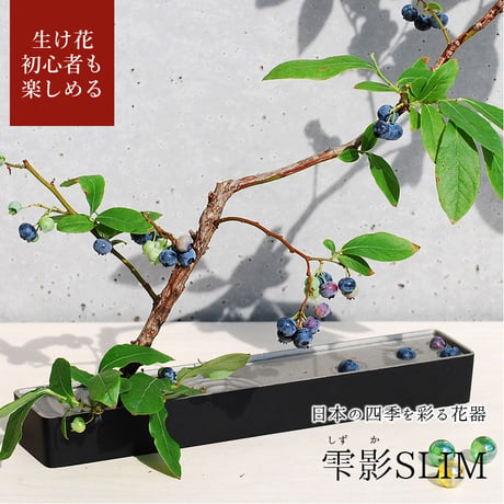 【銀雅堂】雫影(しずか)[SLIM]