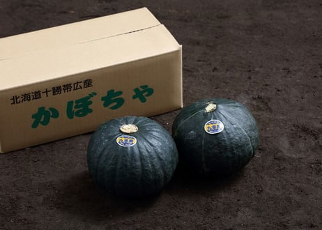 Ａセット(15kg)　メークイン 秀 Lサイズ10kg＋南瓜6玉サイズ2玉