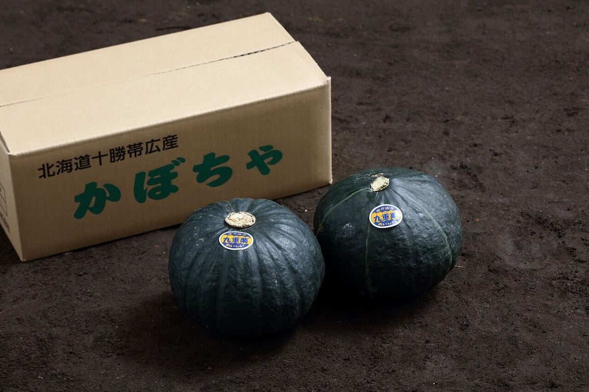 Aセット(15kg) メークイン 秀 Lサイズ10kg＋南瓜6玉サイズ2玉 | 十勝