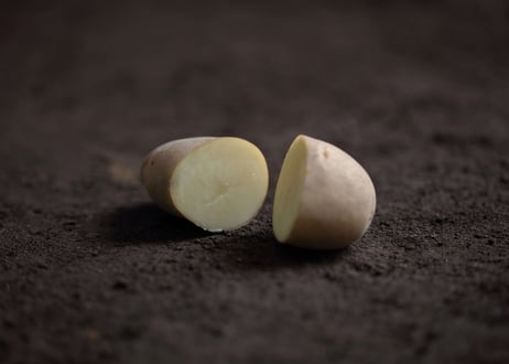 大正メークイン　秀 Ｌサイズ　20㎏(10㎏×2箱)まとめ買い