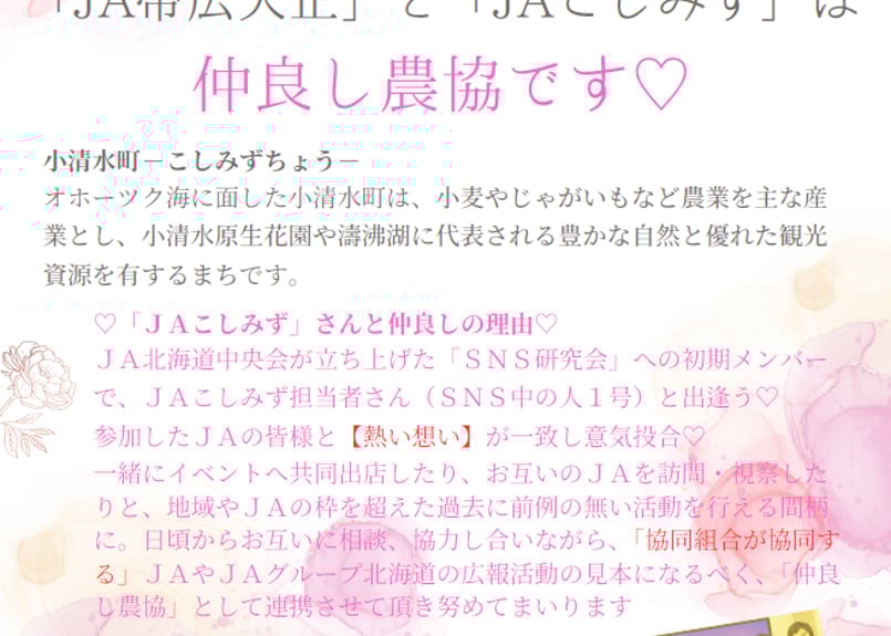 【3袋set】【新品未開封】スリビア☆ブラックフライデーセール開催中！！！ 2022年 ブラックフライデー福袋が予約受付スタート！ 半額セールもど