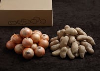 Ｂセット(10kg)　メークイン 秀 Lサイズ5kg＋玉ねぎ5kg