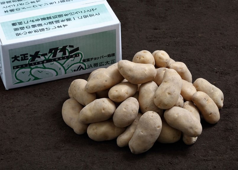 大正メークイン 秀 特Mサイズ 5kg | 十勝のじゃがいも・メークインの