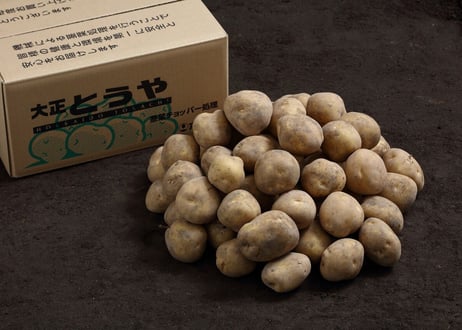 十勝のじゃがいも・メークインの通販｜JA帯広大正 NET SHOP