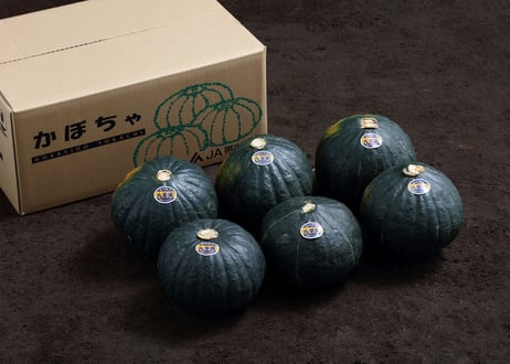 かぼちゃ　6玉サイズ　6玉入り(10㎏)