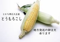 【数量期間限定】とうもろこし10本入