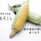 【数量期間限定】とうもろこし10本入