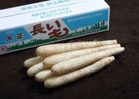 大正長いも　優　5㎏
