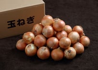 玉ねぎ　Ｌサイズ　10㎏