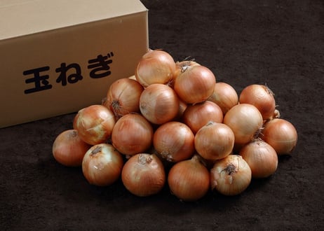 玉ねぎ　Ｌサイズ　10㎏