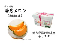 【数量期間限定】帯広メロン－２玉