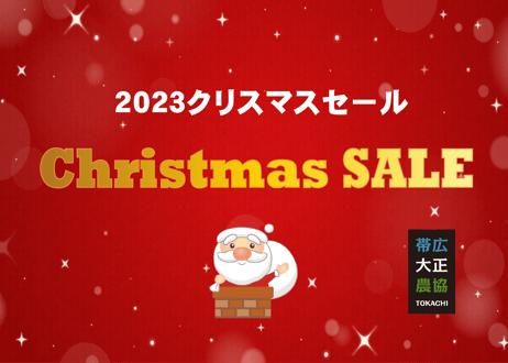 【★クリスマスセール★】期間限定・数量限定　大正メークインでつくったじゃがバター(30個入)まとめ買い