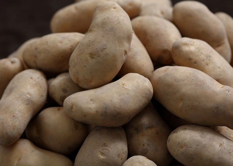 大正メークイン 秀 特Mサイズ 5kg | 十勝のじゃがいも・メークインの