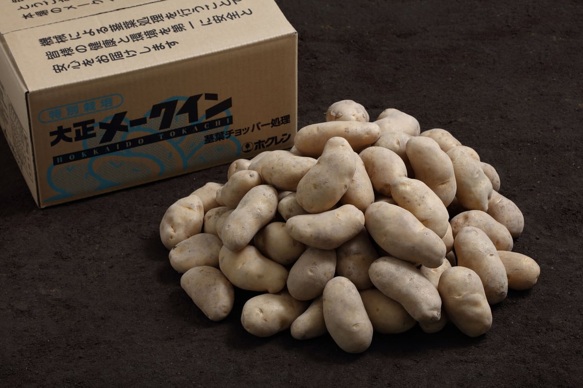 特別栽培 大正メークイン 秀 Lサイズ 20㎏(10㎏×2箱) まとめ買い