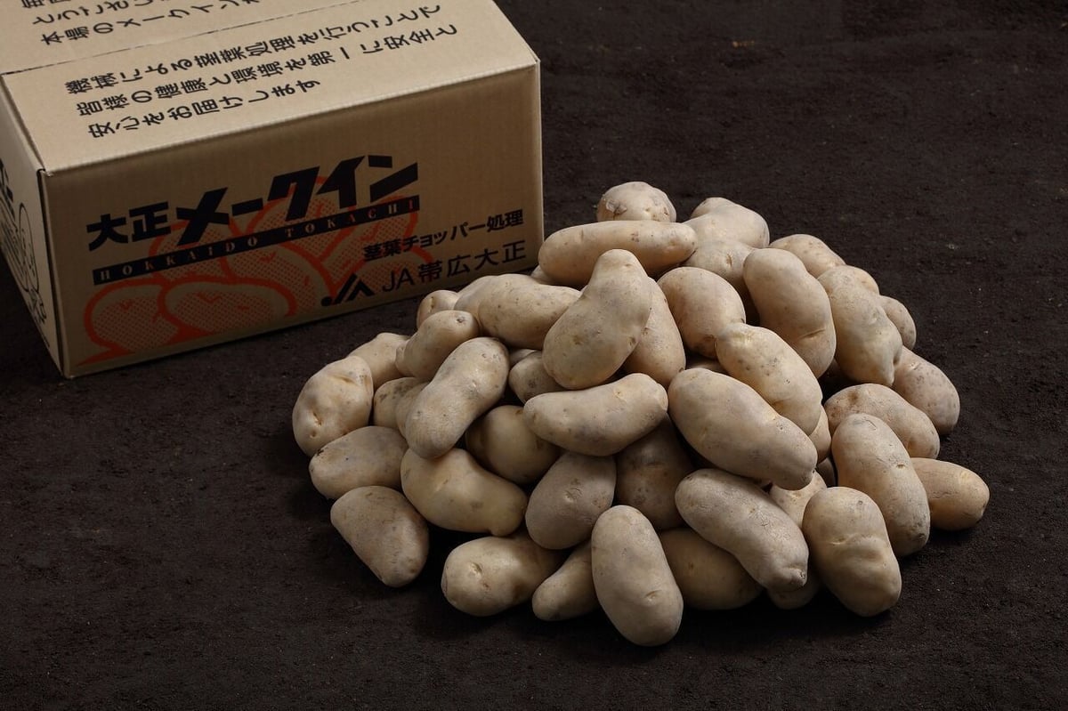 大正メークイン 秀 Lサイズ 20㎏(10㎏×2箱)まとめ買い | 十勝の