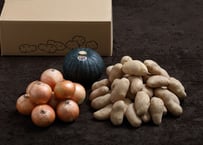 Ｃセット(10kg)　メークイン 秀 Lサイズ5kg＋玉ねぎ2.5kg＋南瓜6玉サイズ1玉