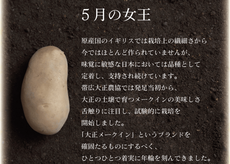 【★クリスマスセール★】期間限定・数量限定　大正メークインでつくったじゃがバター(30個入)まとめ買い