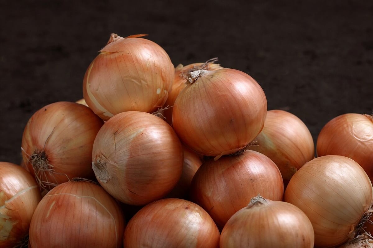 Bセット(10kg) メークイン 秀 Lサイズ5kg＋玉ねぎ5kg | 十勝の