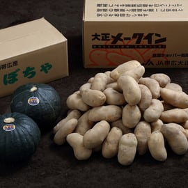 令和7年産「大正メークイン」他青果物の販売開始について | 十勝の