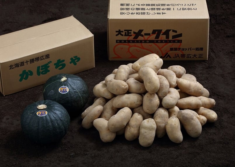 Aセット(15kg) メークイン 秀 Lサイズ10kg＋南瓜6玉サイズ2玉 | 十勝