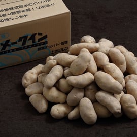 令和7年産「大正メークイン」他青果物の販売開始について | 十勝の