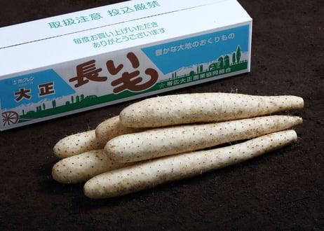 大正長いも　秀　5㎏