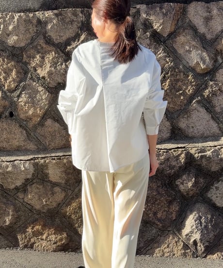 hidden placket band collar blouse