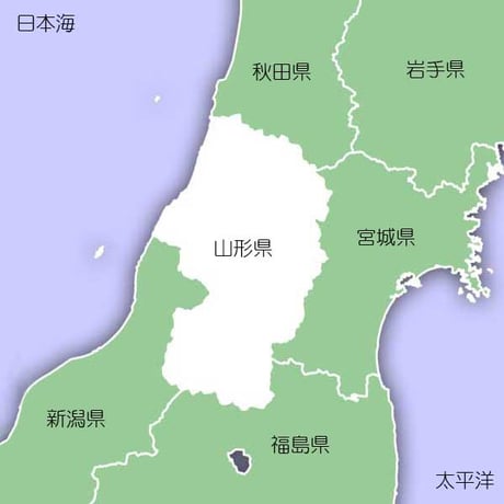 [山形米 令和5年産] 無洗米 山形県産 つや姫 ピロータイプ平袋入 日本全国銘米シリーズ