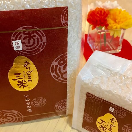 新潟産いのちの壱 無洗米 ギフトセット 3kg (1kg×3) [真空ブリックパック] ありがとう三米 ギフト専用シリーズ