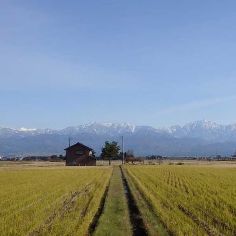 [富山米 令和5年産] 無洗米 富山県産 富富富  吟選米紀行  ピロータイプ平袋入