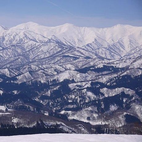 [新潟米 令和6年産] 岩船 朝日産 コシヒカリ [岩船の山育ち] 特選限定米シリーズ